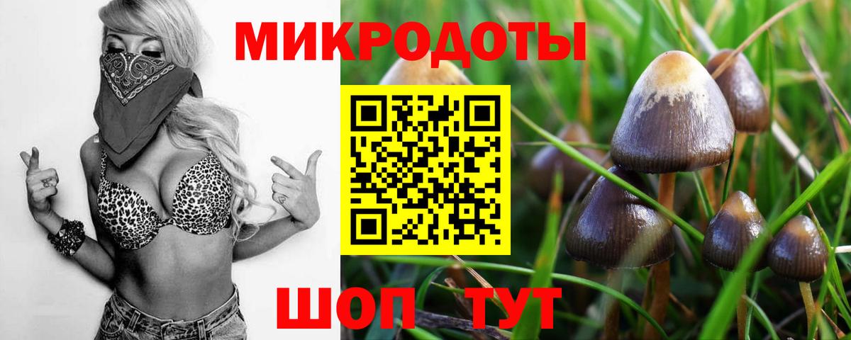 Галлюциногенные грибы Psilocybine cubensis Волжск