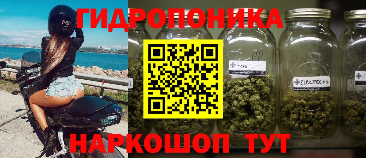 Шишки марихуана White Widow Волжск